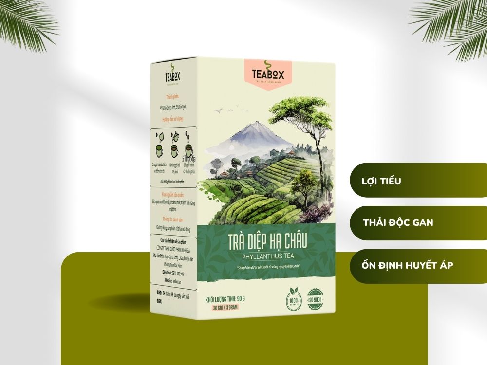 Trà Diệp Hạ Châu Giải Độc Gan, Tăng Cường Chức Năng Gan